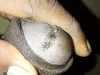tamil gay