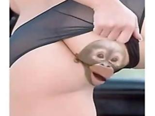 Hey There Vagina